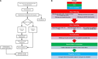 Genome-Wide Analysis of Methylation-Driven Genes and Identification of an Eight-Gene Panel for Prognosis Prediction in Breast Cancer